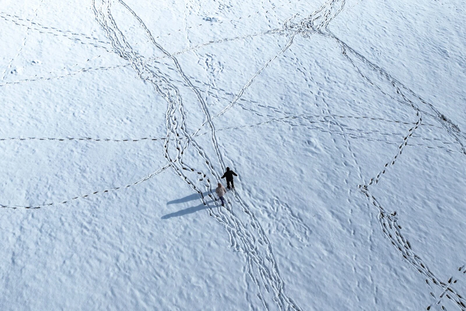 A man shields himself from the snow