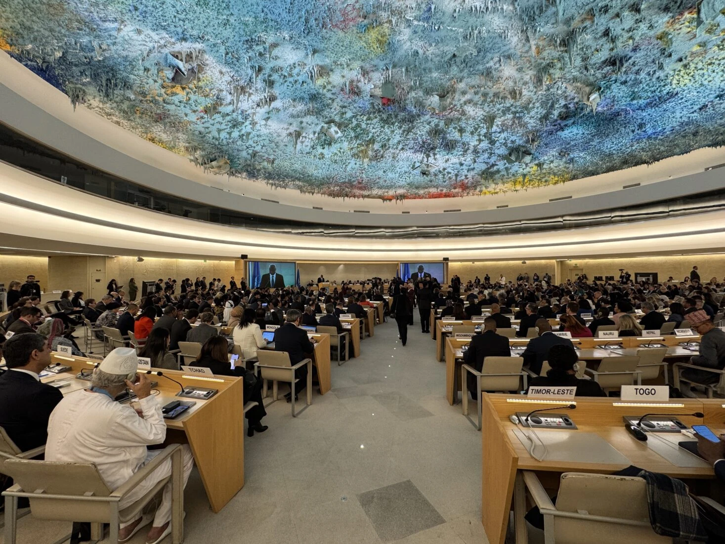 UN Human Rights Council