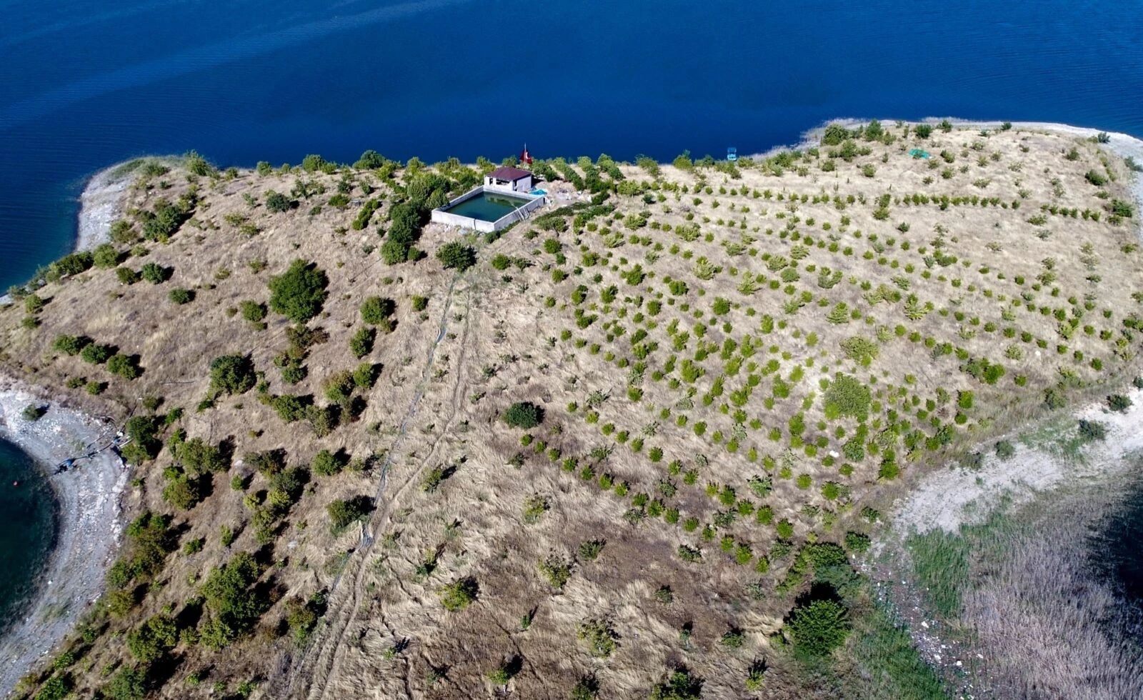 Meet Turkish Robinson Crusoe who planted 4,000 trees on deserted island 