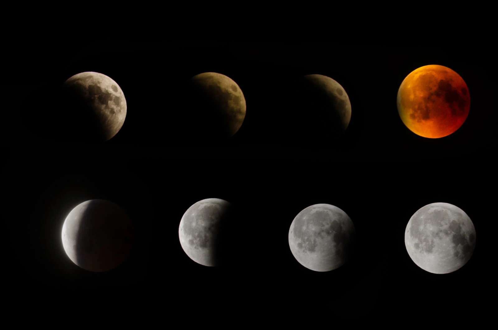 A sequence of images showing the different stages of a total lunar eclipse, including the blood moon phase.