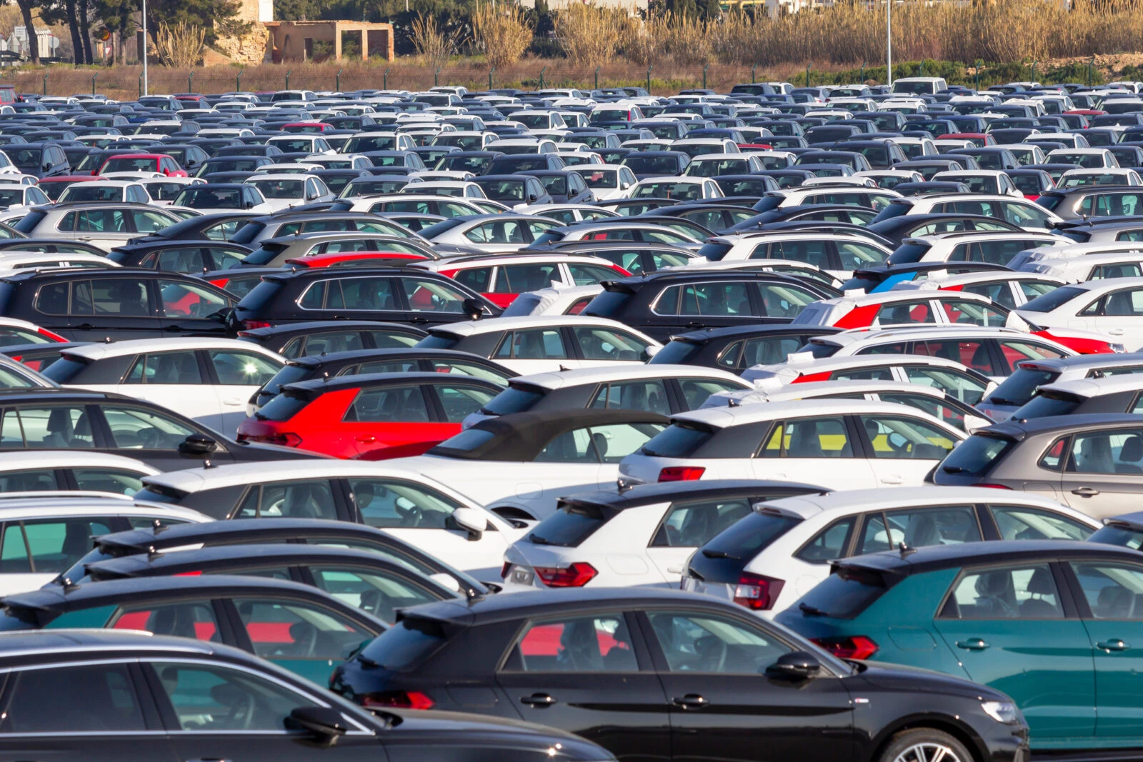 Automotive industry import of new cars for sale