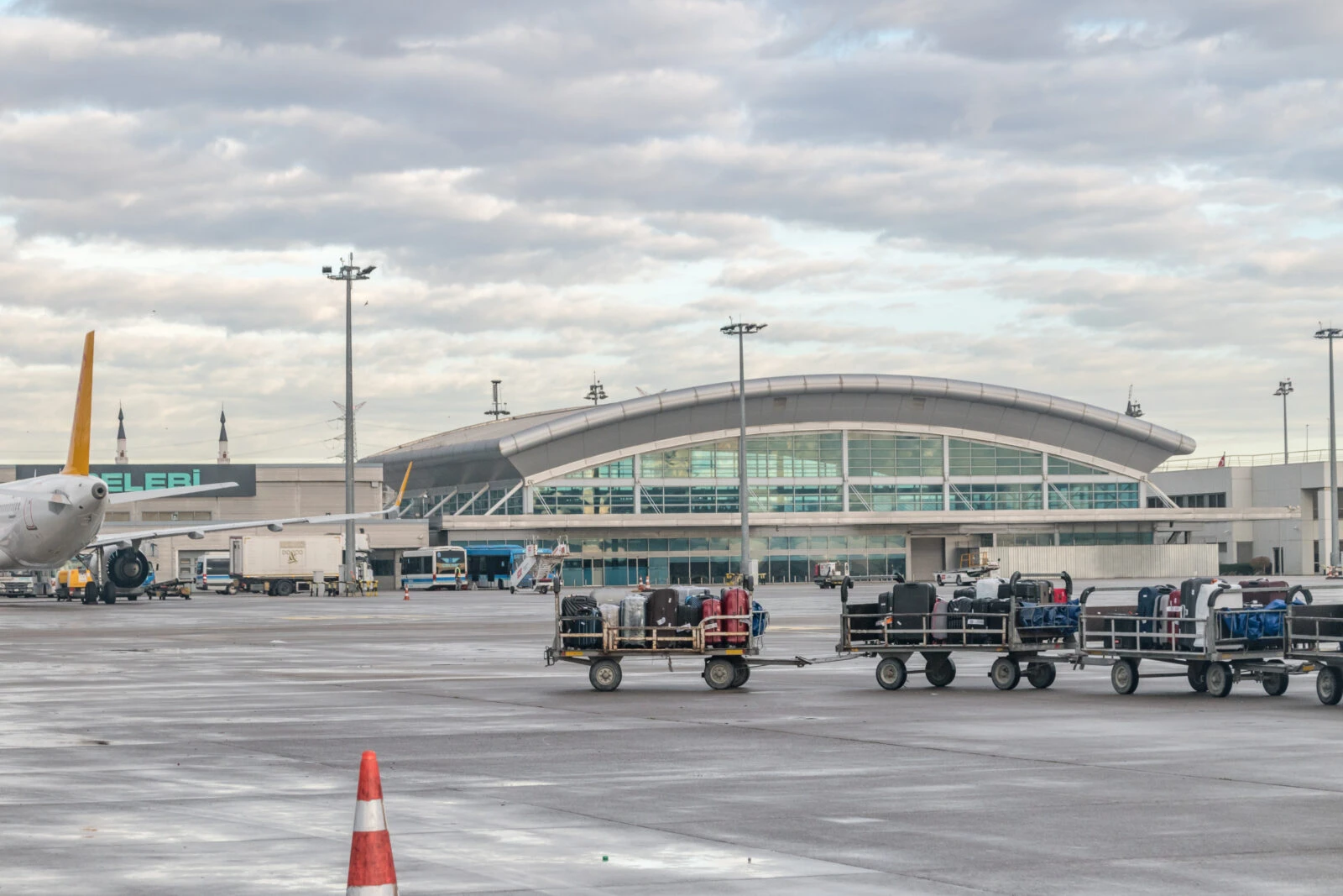 Baggage carts transport luggage