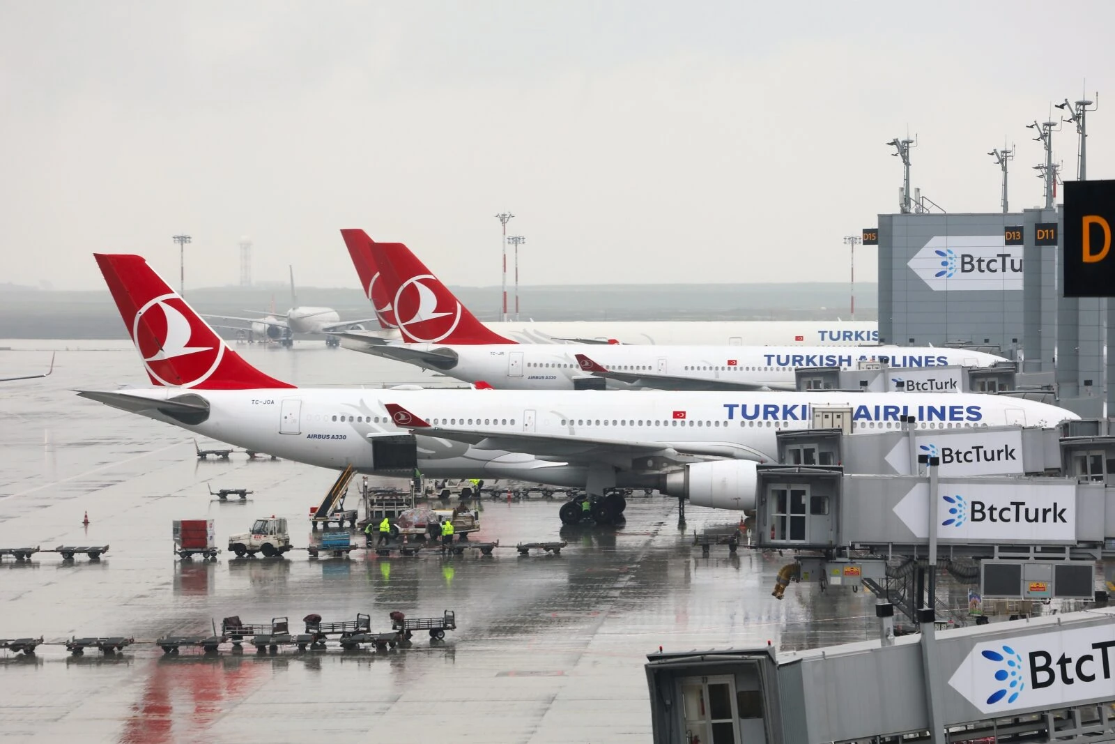 Photo shows Turkish Airlines aircraft at the gates