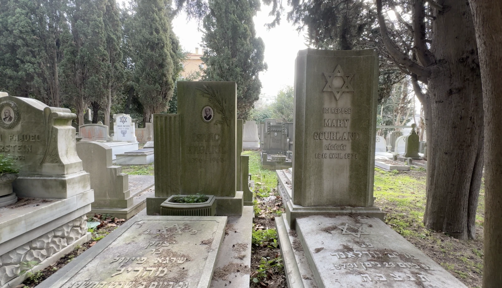 Rows of gravestones in the Ulus Ashkenazi Jewish Cemetery, - Istanbul's cemeteries