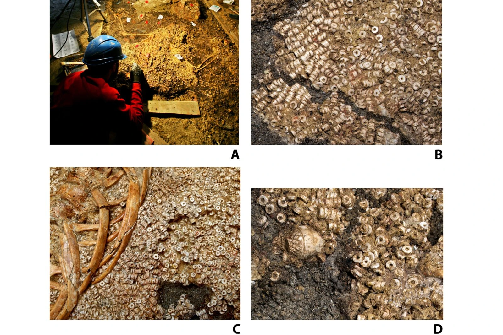 Detailed images of Montelirio beads in situ, showcasing the excavation process of Individual 343 and the associated attire UE 344, including threaded beads and an ivory acorn.