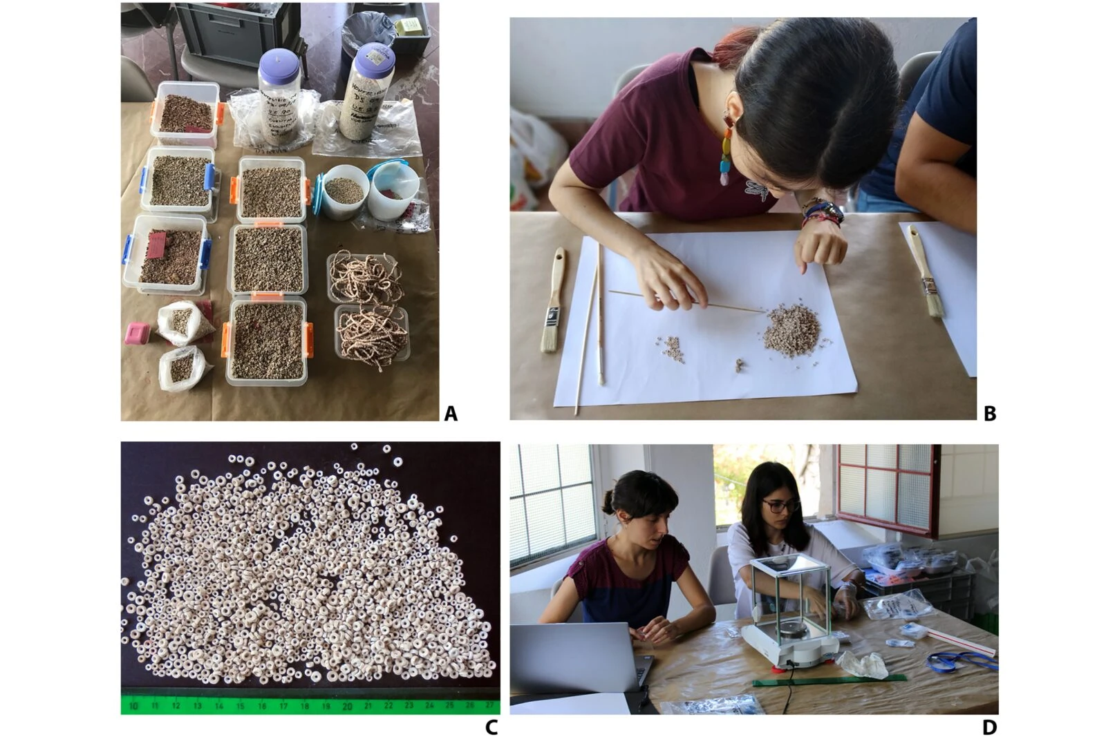 Cleaning and weighing of beads at the Sevilla Archaeology Museum in July–August 2019, including plastic containers, manual cleaning, and weighing process.