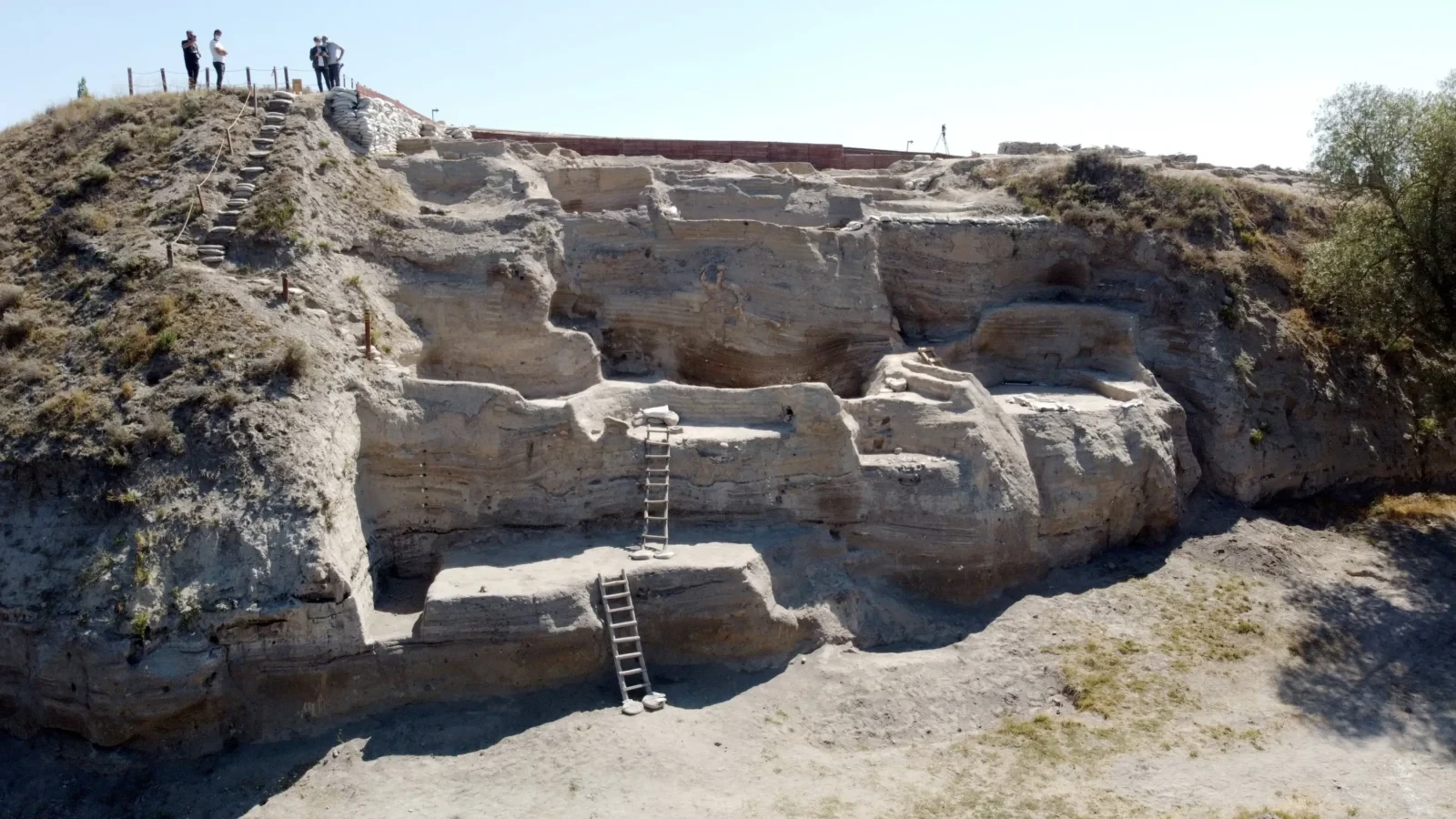 Archaeologists working on-site at Asıklı Höyük, an important ancient settlement in Aksaray, Türkiye. Domasticated Sheep