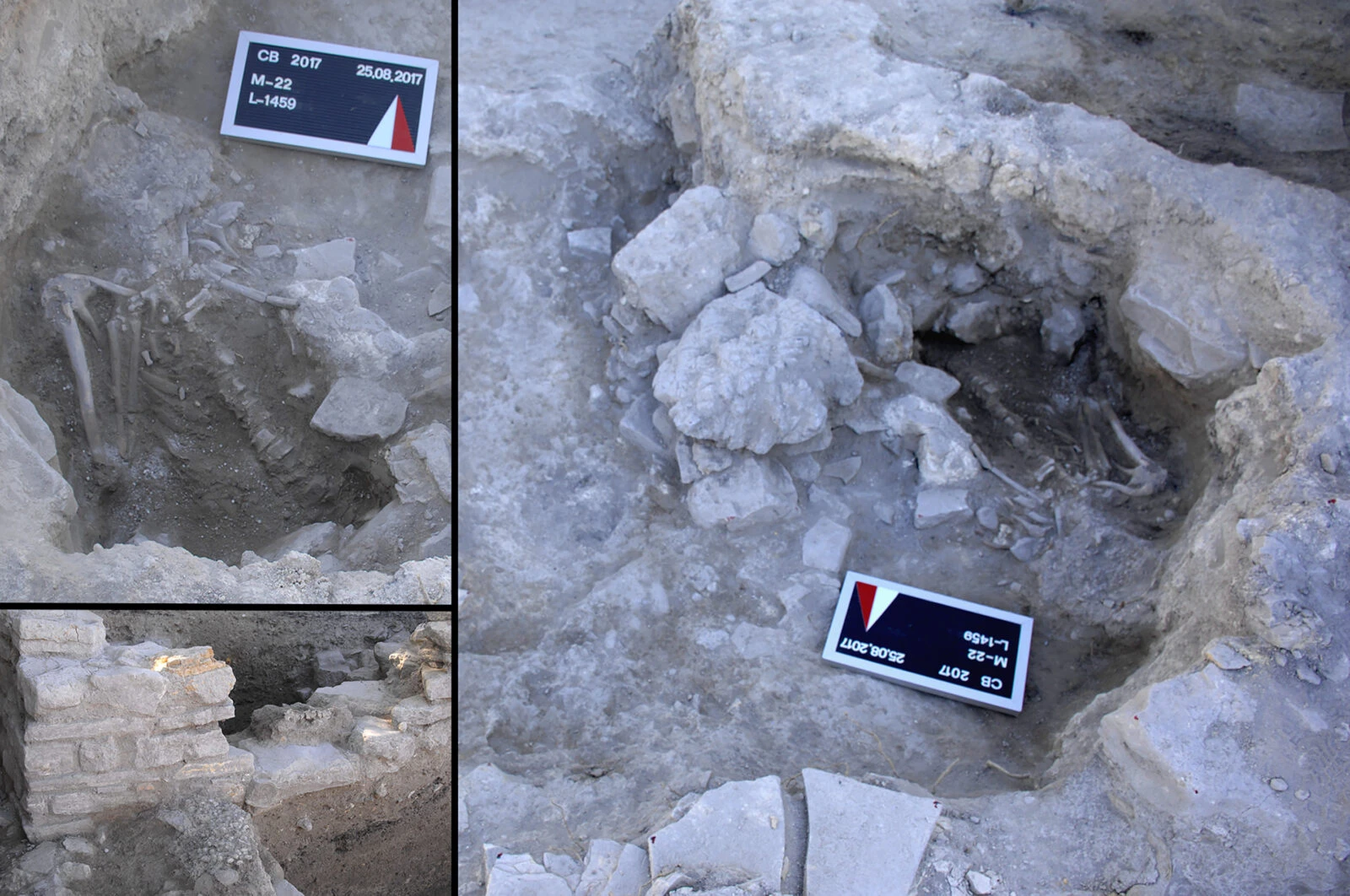 Tsunami rubble with an articulated human skeleton, articulated dog skeleton, and a shell-rich muddy patch.