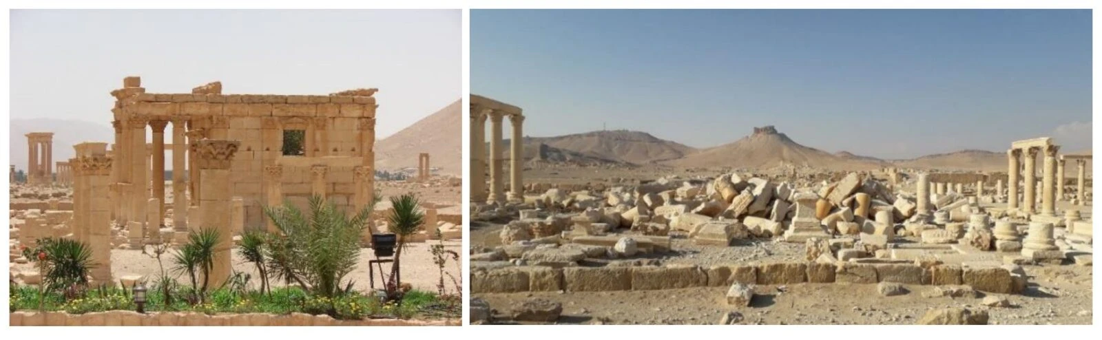 After Assad’s fall, can Palmyra’s cultural heritage be saved?