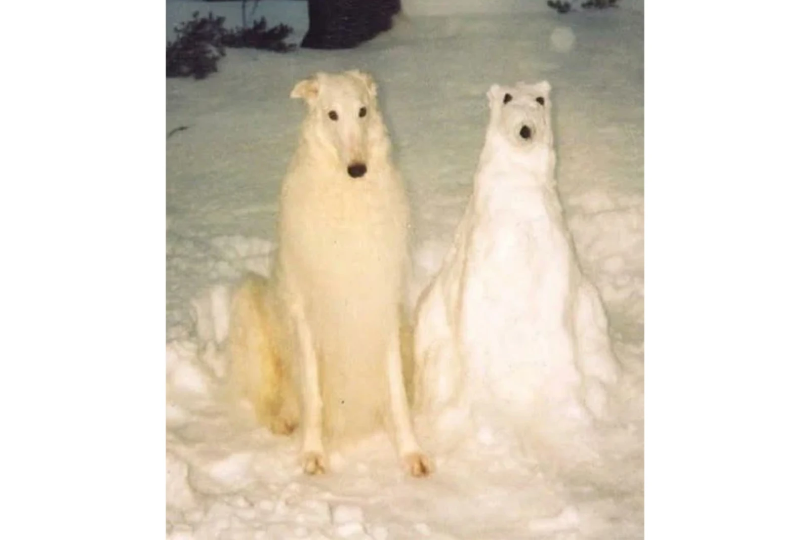 A white-furred dog sits in the snow beside a carefully shaped snow sculpture resembling a canine, positioned in a way that makes them look like twins.