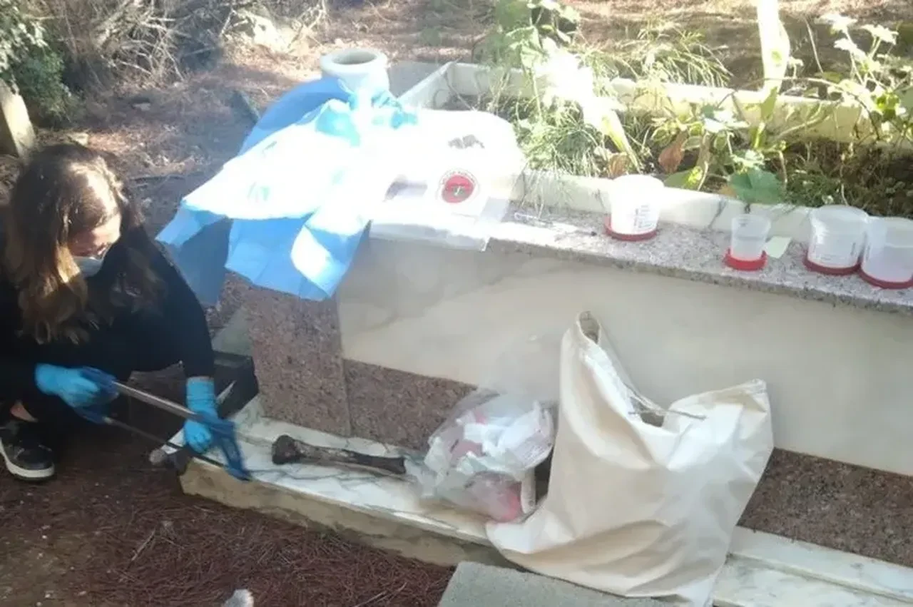 A forensic expert wearing gloves and a face mask examines human remains near a grave during an exhumation process in Mugla, Türkiye, as part of a DNA investigation.