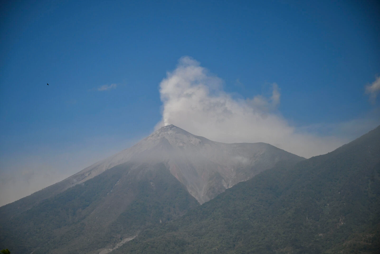  Guatemalan authorities evacuated around a thousand people on Monday after Central America's most active volcano erupted, spewing lava, ash and rocks. (Photo by JOHAN ORDONEZ / AFP)