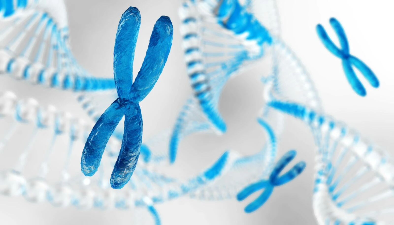 Blue X chromosomes in front of DNA helices in a scientific illustration.