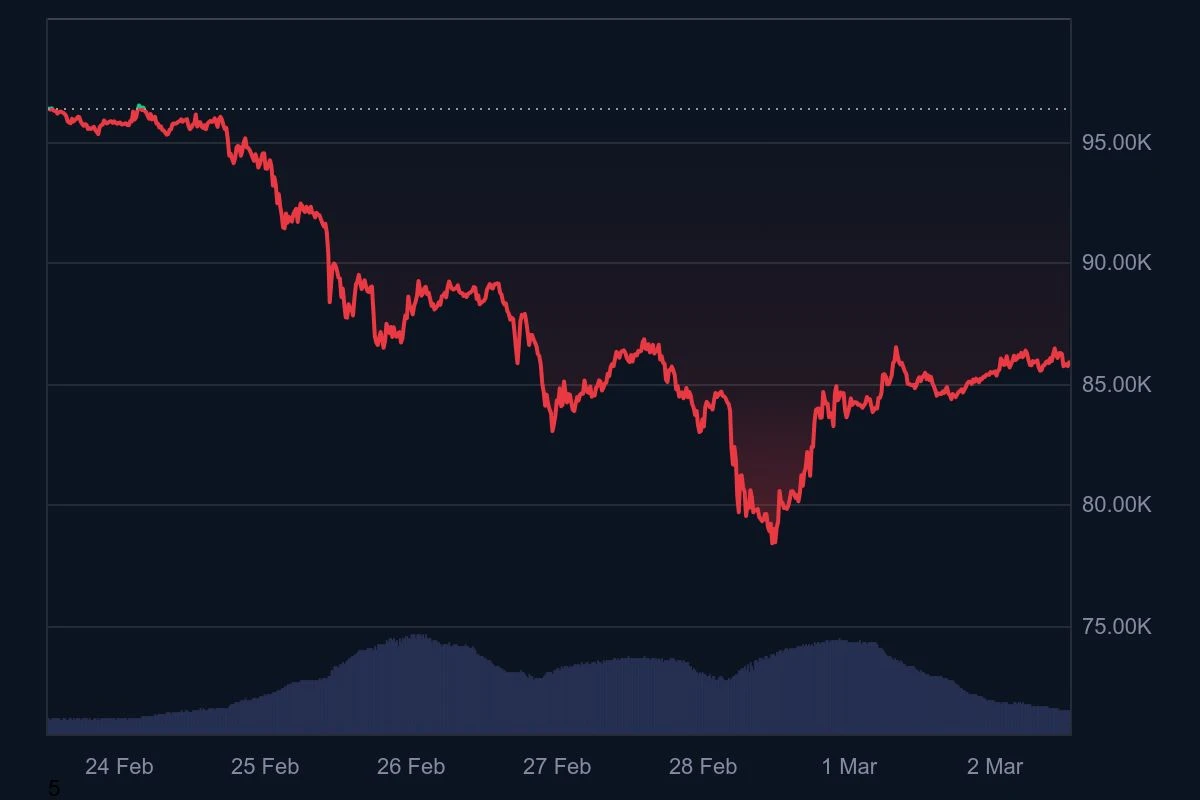 Bitcoin price line chart showing a decline from Feb. 24 to Mar. 2, 2025