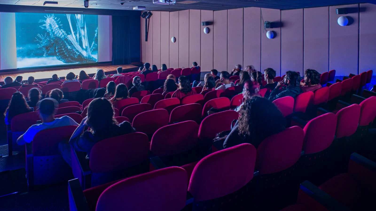 Interior of the Pera Museum Cinema with an audience seated in red theater chairs watching a documentary. The screen displays a blue underwater scene featuring marine organisms. The viewing room has light pink acoustic wall panels and is dimly lit with blue accent lighting. Viewers are shown from behind as they watch the presentation.