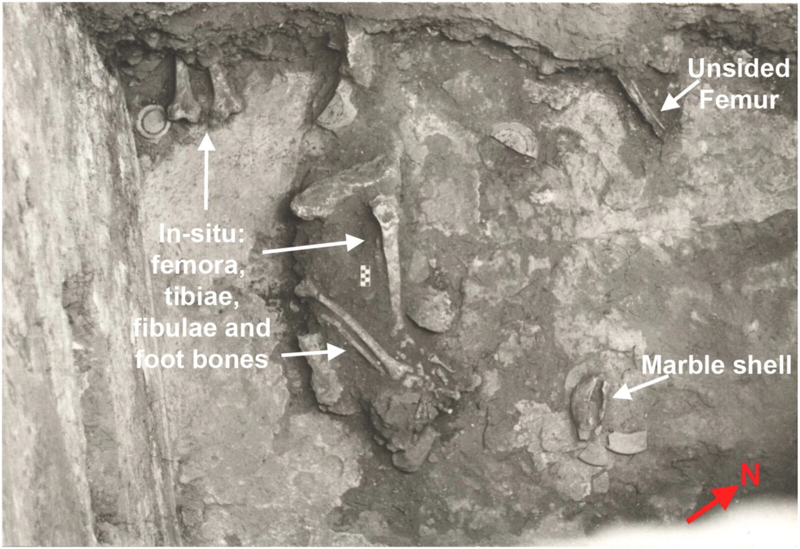 1977 excavation photo of the tomb floor