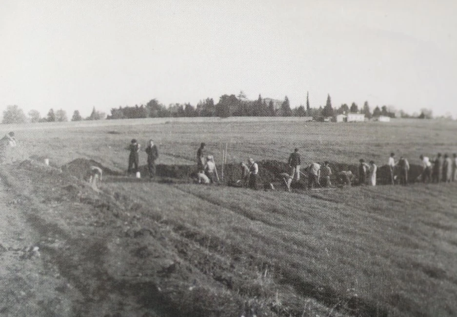 Uncovering secrets of ancient Chalcedon beneath modern Kadikoy 8 1950s archaeological excavation in Fikirtepe, Kadikoy, with Sultan Murad V's hunting lodge in the background.